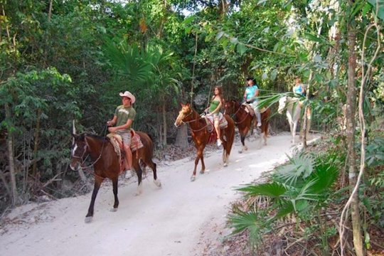 Tour image 7