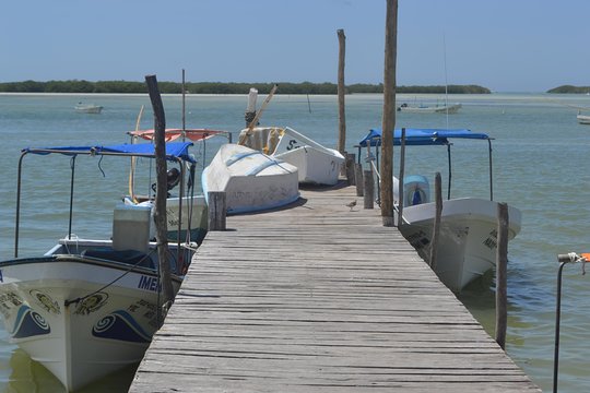 Tour image 4
