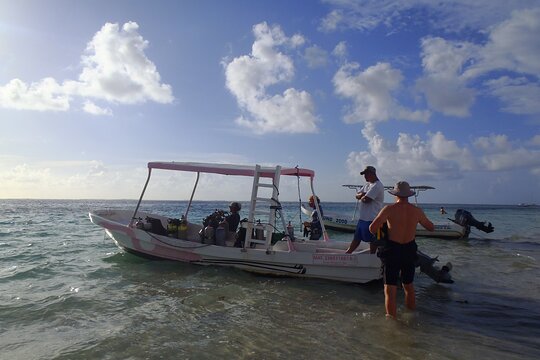 Tour image 3