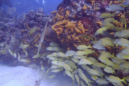Tour image 5