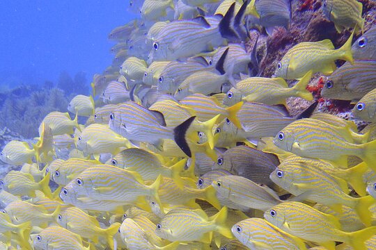 Tour image 6