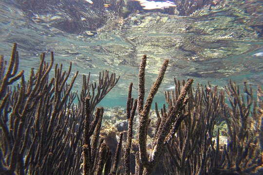 Tour image 7
